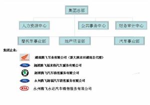 湖南騰飛集團有限公司