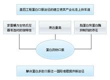 基因工程蛋白口服途徑的建立