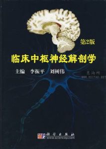 臨床中樞神經解剖學