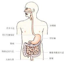 人體示意圖