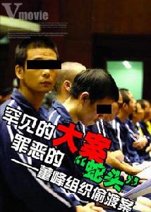 《董峰組織偷渡案》