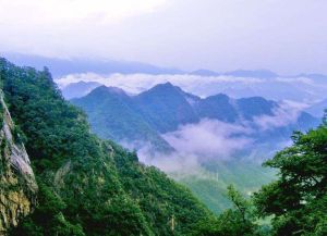 白雲森林公園