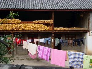 臘普灣自然村人口衛生-居住環境