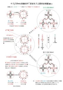 中子β衰變理論-結構模型圖