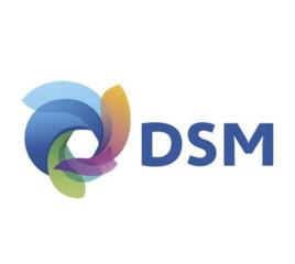 dsm[數字地表模型]