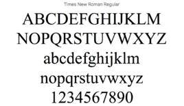 Times New Roman