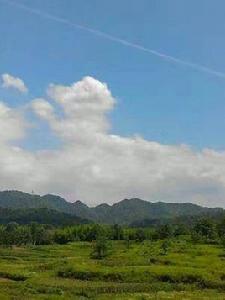 馬頭山村[湖南省漣源市石馬山鎮馬頭山村]