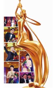 第28屆中國電視劇飛天獎