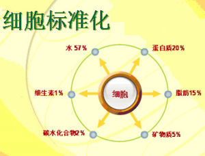 人體細胞標準化