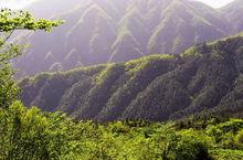 將軍村[安徽省池州市青陽縣朱備鎮將軍村]