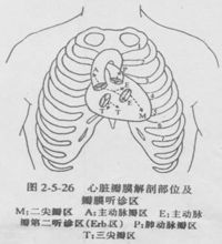 聽診區圖示