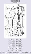 上丹田、中丹田、下丹田位置圖