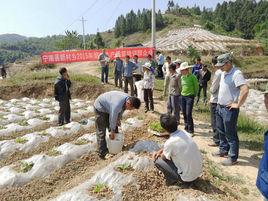 新村鄉[四川省寧南縣新村鄉]