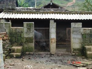 雲縣栗樹彝族傣族鄉慢郎村委會南坎自然村