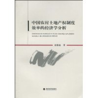 中國農村土地產權制度效率的經濟學分析