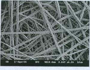 納米纖維顯微結構