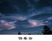 偽捲雲