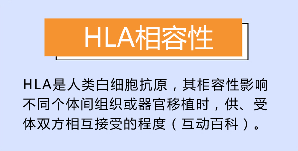 HLA相容性