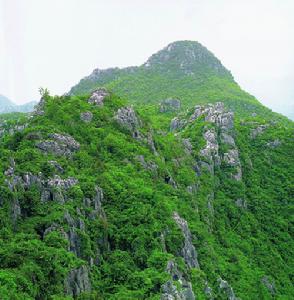 三衢國家森林公園