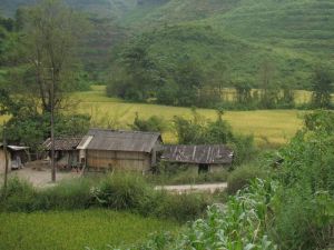 八家寨自然村[雲南省西雙版納勐臘縣關累鎮下轄村]