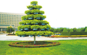 立體綠化花樹