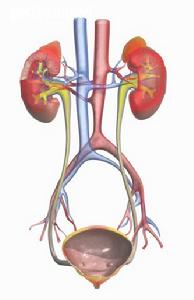 膜增殖性腎小球腎炎