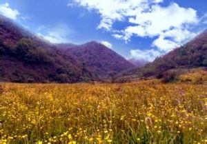 八卦山風景區[陝西省安康旬陽縣景區]