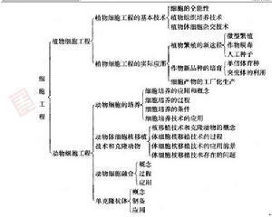 教學內容的結構