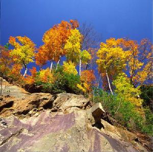 2013年巴中光霧山紅葉節