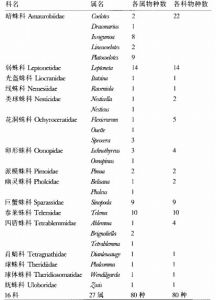 洞蜘蛛在我國的分布