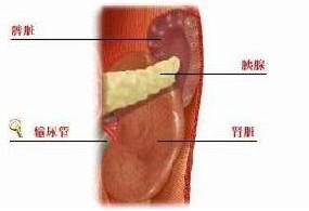 尿酸性腎病