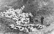 被納粹殺害的猶太女人屍橫遍野
