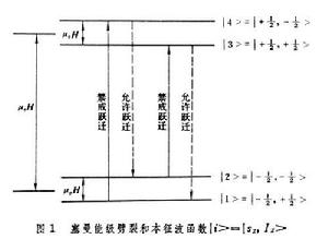 極化靶