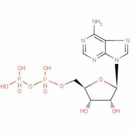 5'-二磷酸腺苷