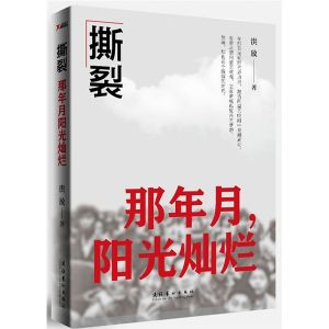 《撕裂：那年月，陽光燦爛》