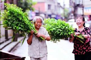 天中節[中國四大傳統節日之一]