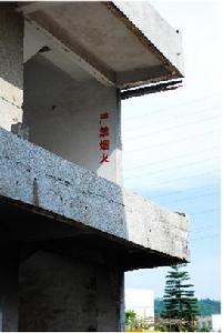 1993年深圳致麗玩具廠大火