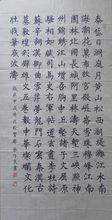 張作良[書法家協會常務理事]