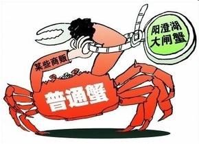 洗澡蟹