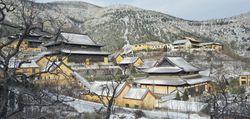 廣福寺[山東青州劈山廣福寺]