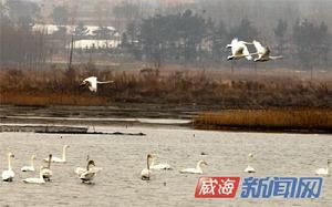 海西村[山東省東營市墾利區勝坨鎮海西村]