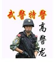 高警龍