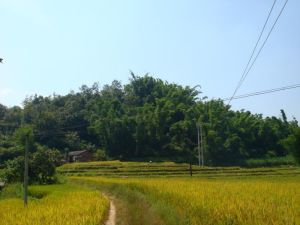 大過嶺自然村