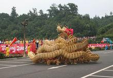 亮相北京奧運會火炬傳遞現場