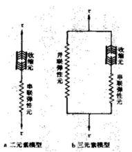 肌肉力學