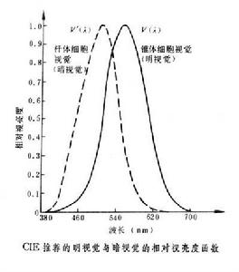 明視覺和暗視覺