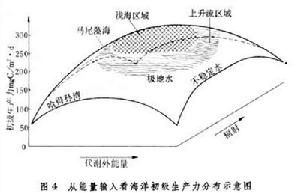 海洋生態