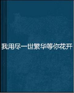 我用盡一世繁華等你花開