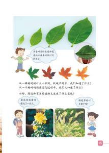 《植物發生了什麼變化》2