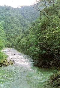 三百山森林公園